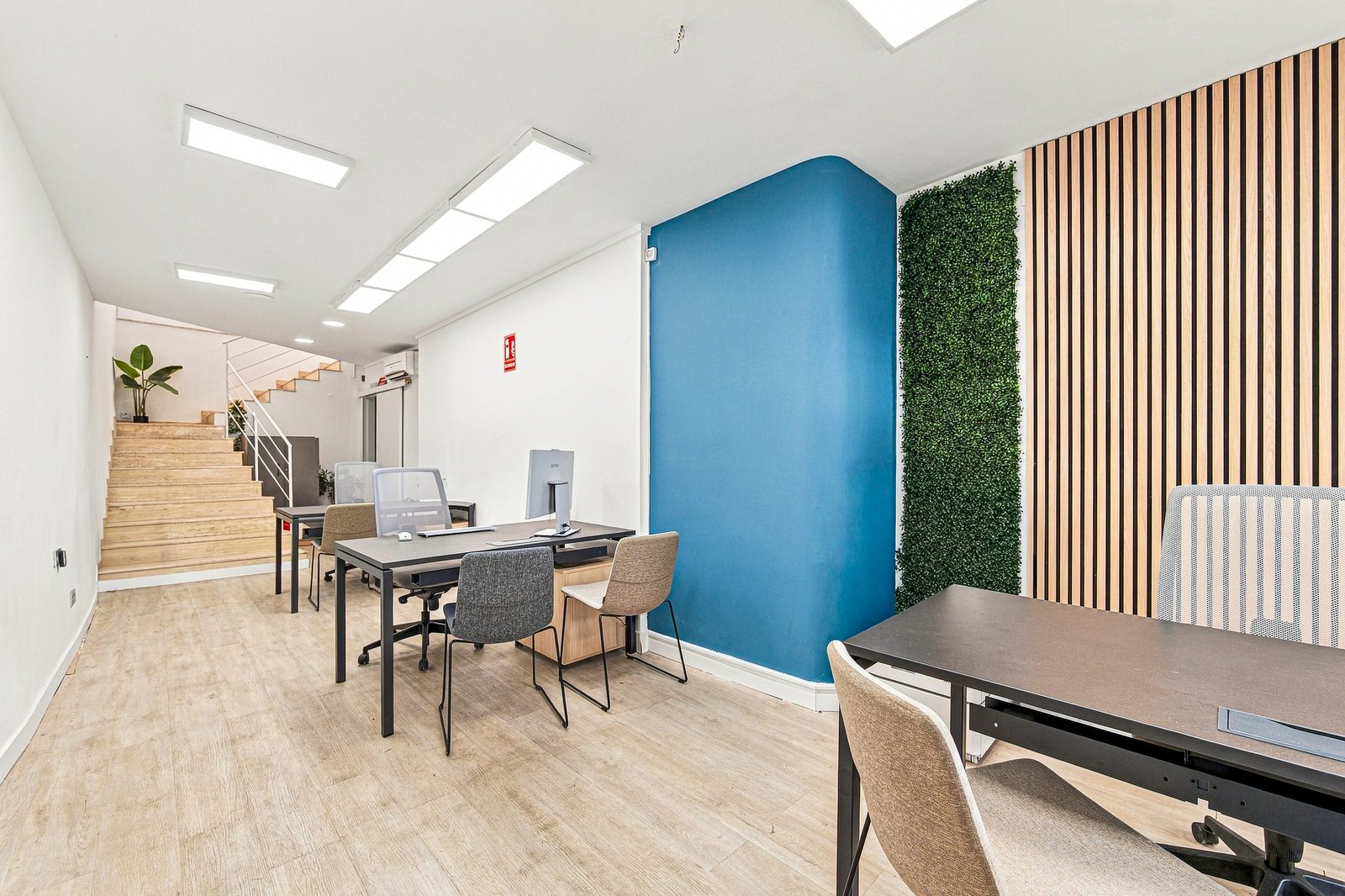 Interior de la oficina de Reus: zona de trabajo con pared azul y jardín vertical